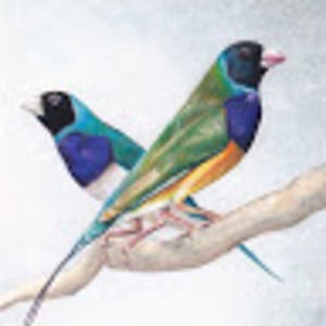 Meet your Posher, Brax